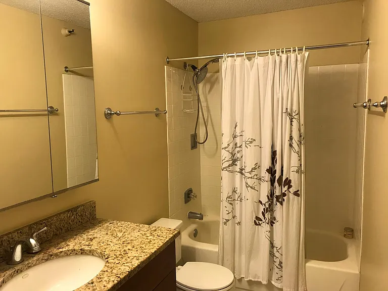 10 E Ontario St #3407 — Photo 15