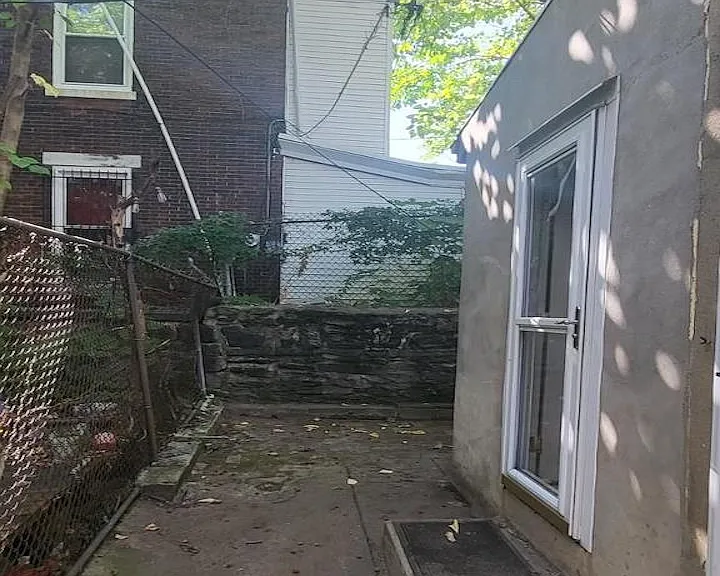 Yard View #1
