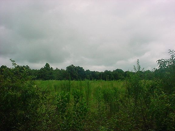 4th image of 423 Irwinville Hwy