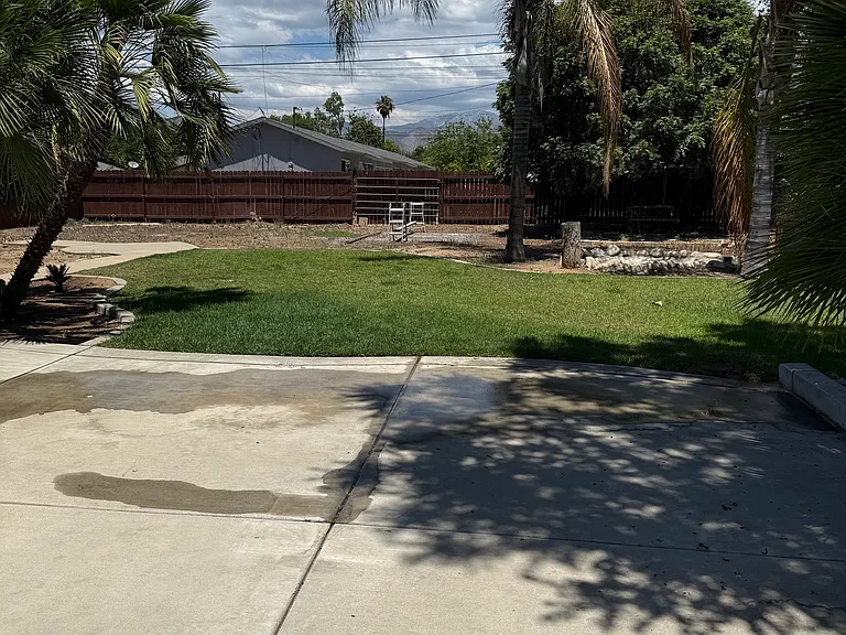 34942 Beech Ave — Photo 20