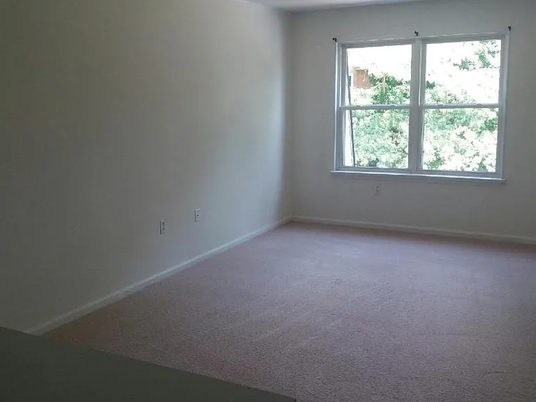 2400 Arlington Blvd #9 — Photo 6