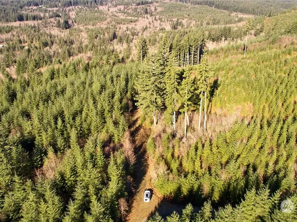 3 NE Jones Creek Road, Camas, WA 98601