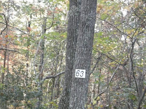 3rd image of 63-64 Forest Dr #100