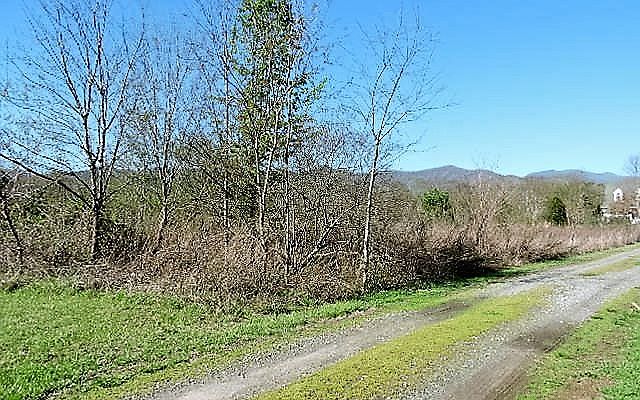 2nd image of 4 Piney Rd