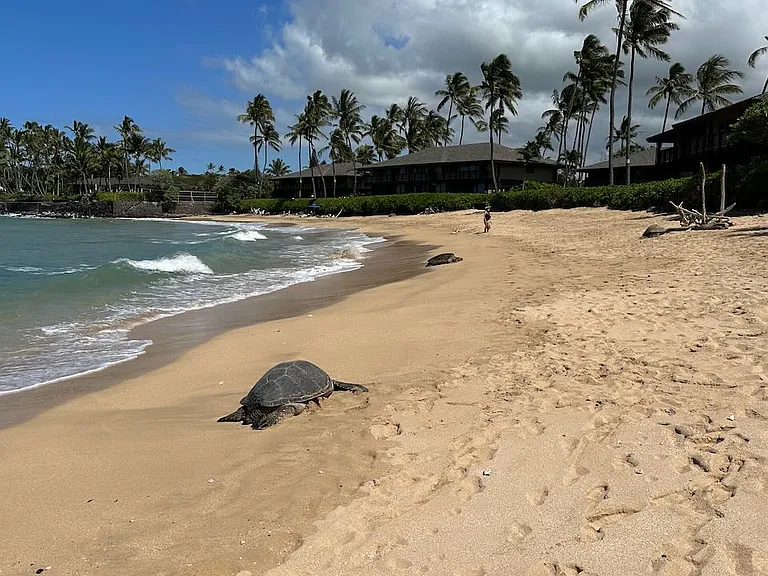 141 Makahiki St #HOOKIPA — Photo 2