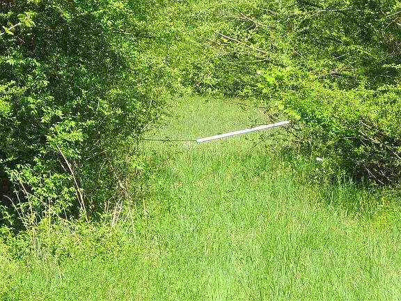2nd image of 0 No Pone Valley Rd N Lot 7