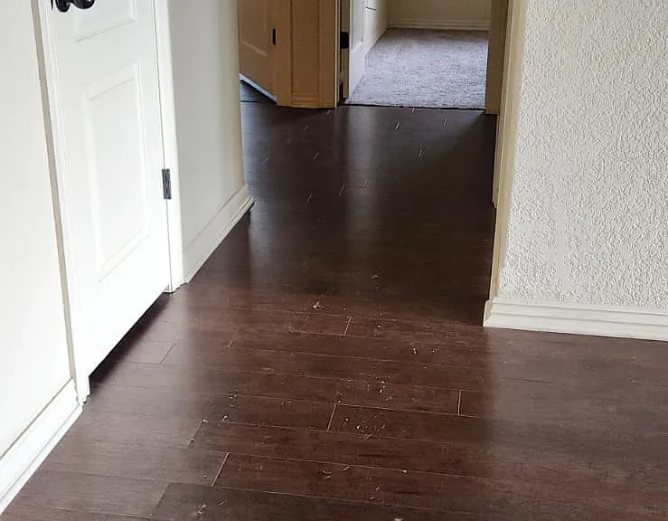 848 Oakwood Ct — Photo 27
