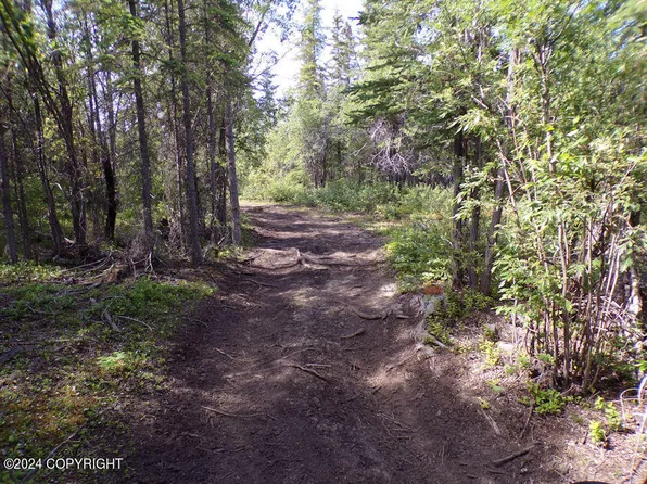 Mile 106.5 Richardson Highway Hwy, Copper Center, AK 99573