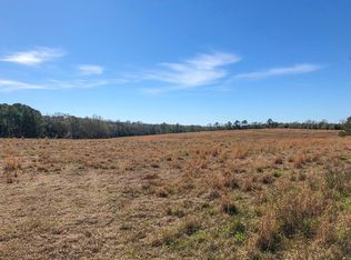 518 Ballard Rd, Black, AL 36314