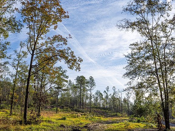 4th image of 0 Whitehouse Fork Rd