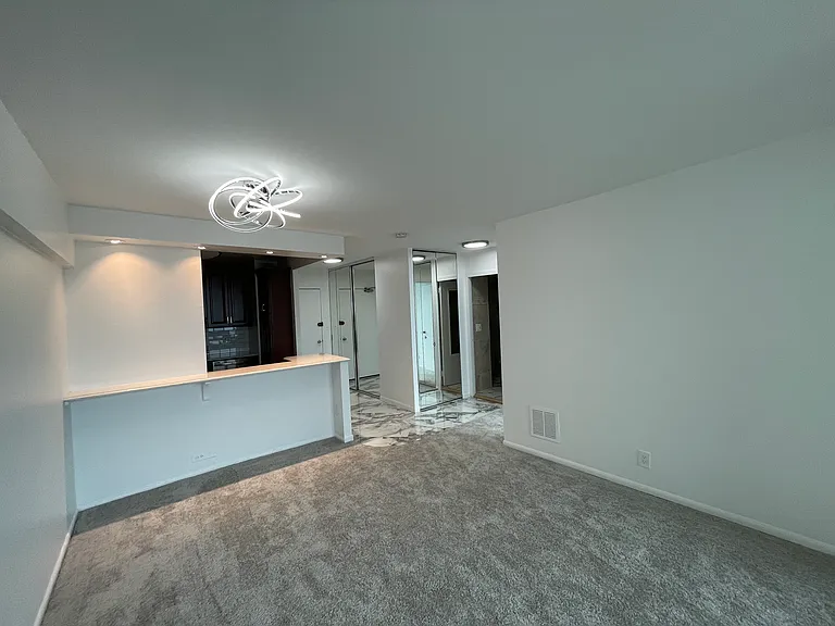 1255 N Sandburg Ter #2105 — Photo 10