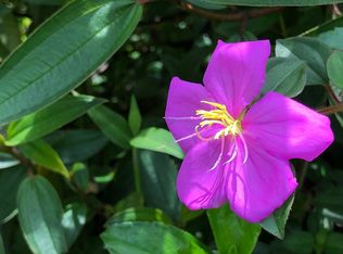 Silveroak Dr LOT 17, Pahoa, HI 96778
