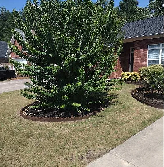 2918 Carey Ct — Photo 4