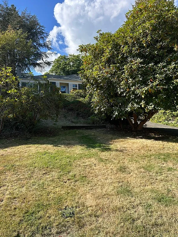2 bed, 2.0 bath, 1160 sqft, $3,000 — Photo 3