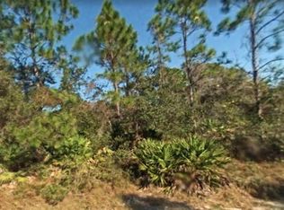 4245 E 26th St, Alva, FL 33920