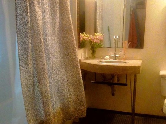 Bathroom (Tub and Shower)