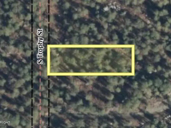 47923 S Trophy St, Talkeetna, AK 99676