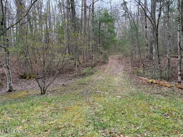 LOT 20 Bear Rd, Tallassee, TN 37878