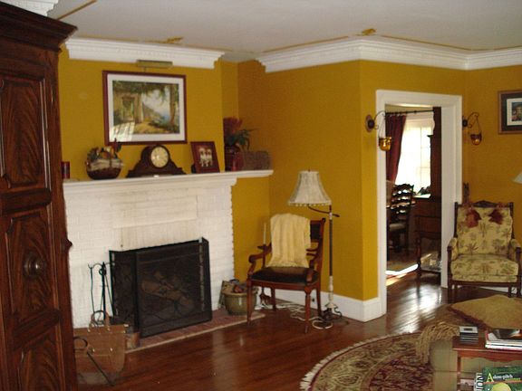 wood burning fireplace