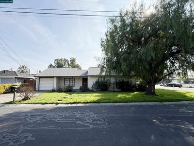 2310 Belmont Rd, Concord, CA, 94520