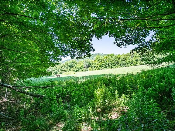 5th image of 43 Tower Mountain Rd Lot 27