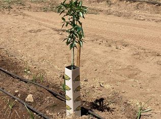 14255 Prouty Rd, Herald, CA 95638