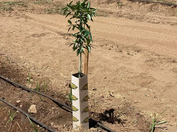 14255 Prouty Rd, Herald, CA 95638