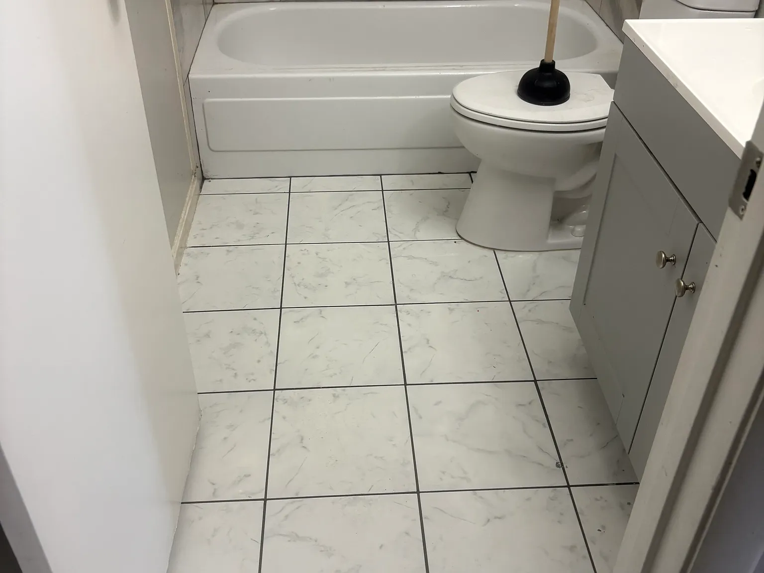 5 bed, 1236 sqft, $3,100 — Photo 3