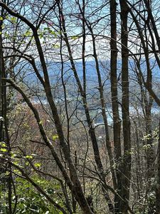 87 Ridge Colony Lane, Lake Toxaway, NC, 28747