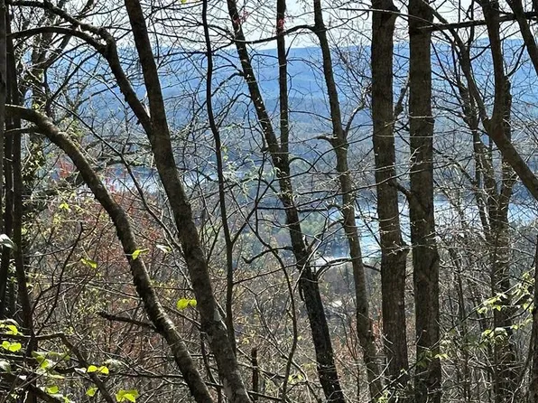 87 Ridge Colony Lane, Lake Toxaway, NC 28747