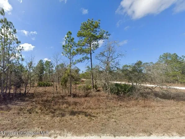 16341 Kingbird Rd, Brooksville, FL 34614