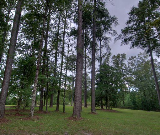 2nd image of 129 S Lake Dr