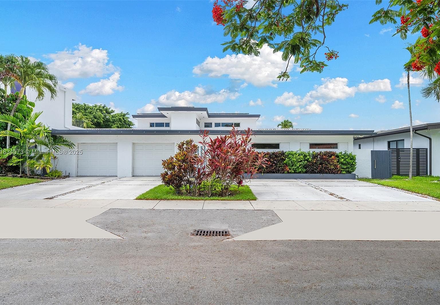 j*n様 週末オークション【REZA産】⑨イラン　アガべ　タランチュラ（31） j*n様 週末オークション【REZA産】⑨イラン アガべ タランチュラ（31