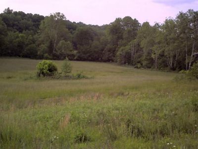 Tract 10 Pleasant Valley Ln, Wirtz, VA, 24184