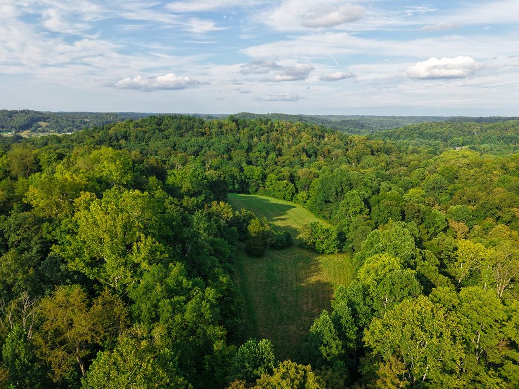 Real estate listing image