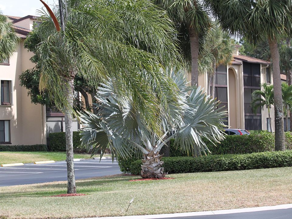 1st image of 617 Seapine Way #B1