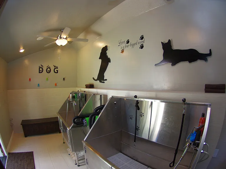 Pet Spa