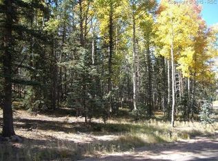 401 Silvermoon Hts, Divide, CO 80814