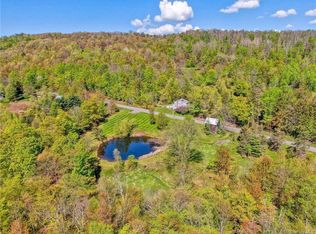 435 Yeagerville Rd, Denning, NY 12458