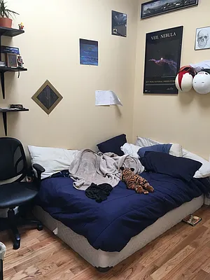 Rented by P Management | media 5