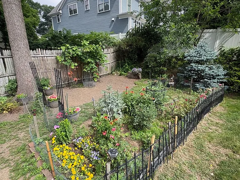 63 Oak St #2B — Photo 12