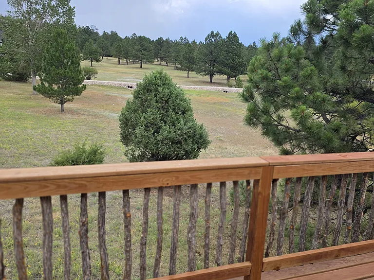2465 Tenderfoot Dr — Photo 10
