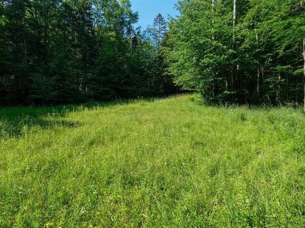0 Berry Patch Lane, Ludlow, VT 05149