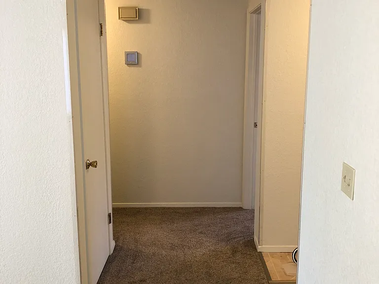 E Amanita St — Photo 36
