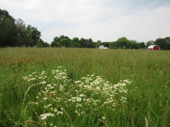 Tbd Orchard North Boulevard, Fair Grove, MO 65648