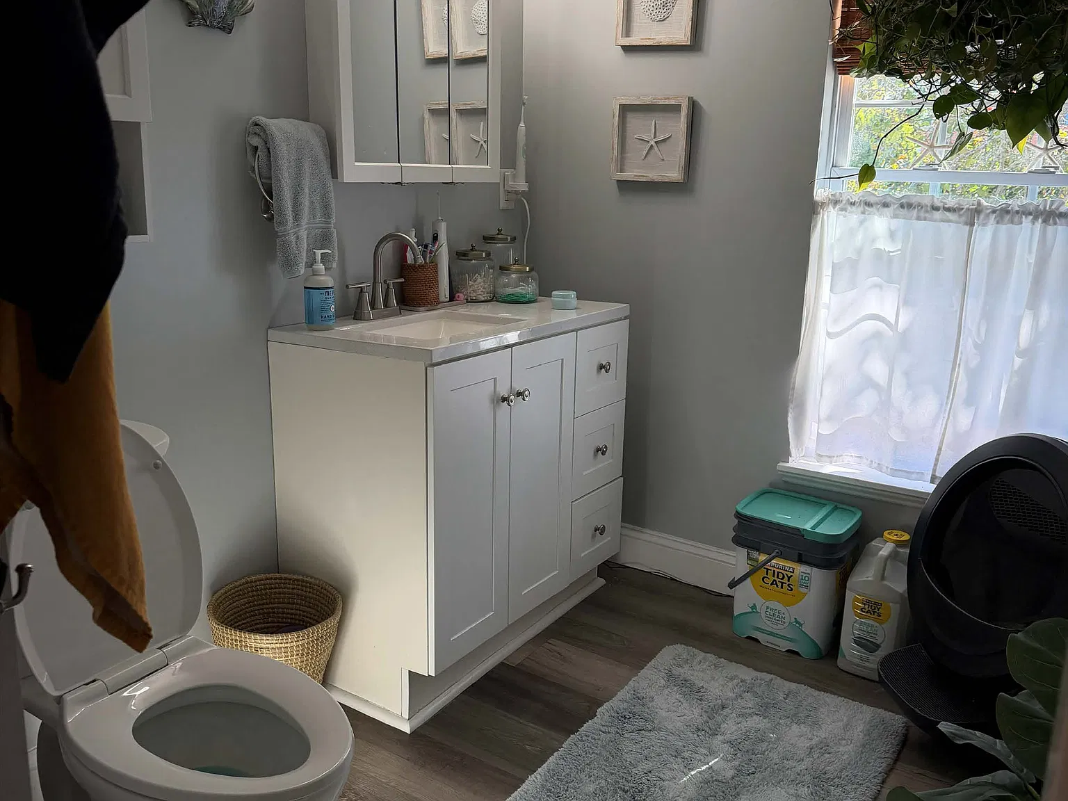2 bed, 800 sqft, $2,600 — Photo 3