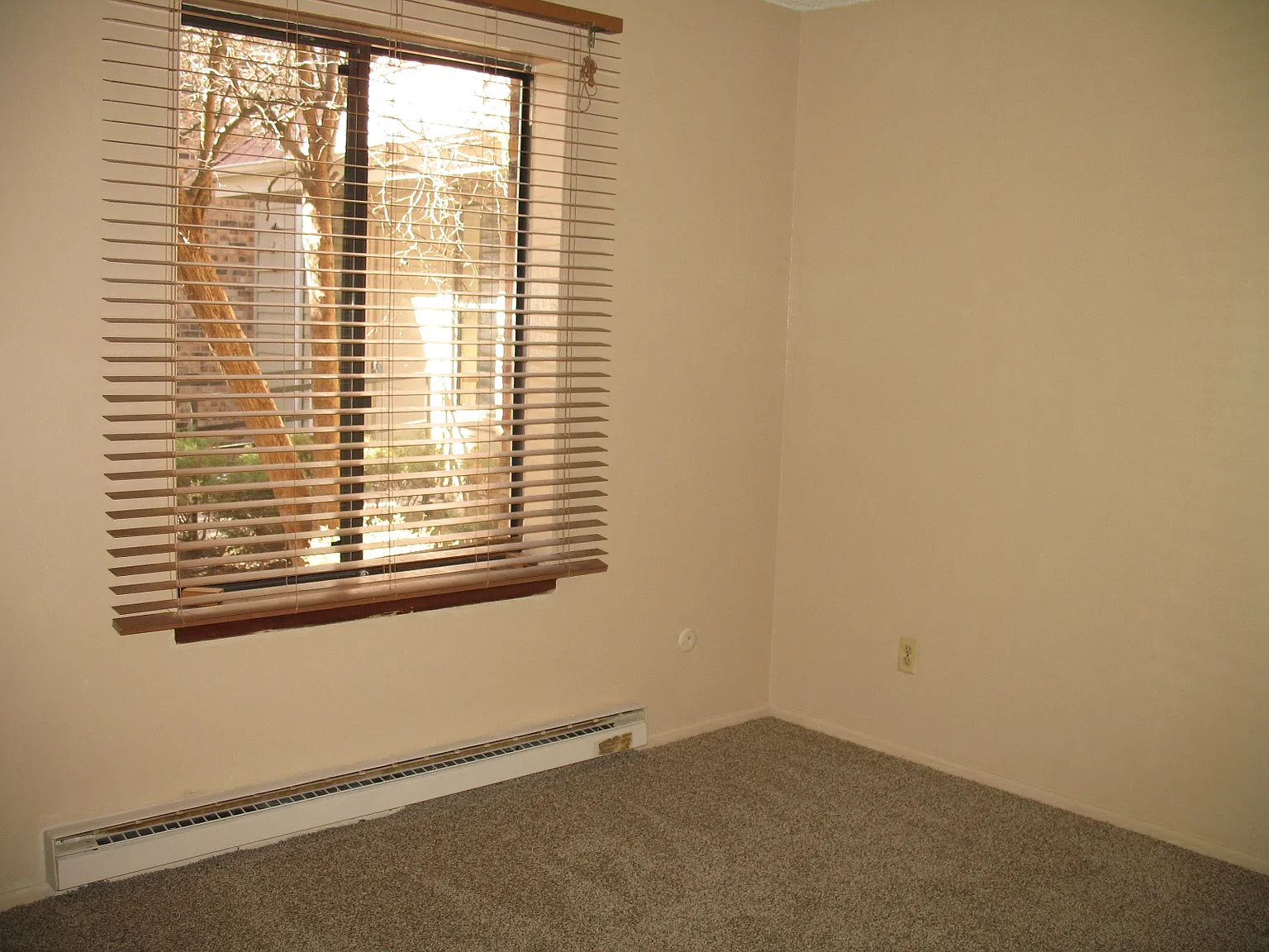 2 bed, 894 sqft, $1,600 — Photo 1
