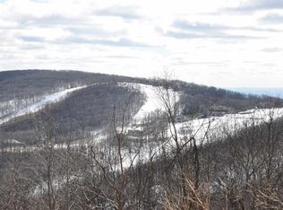 1701 High Rdg, Wintergreen Resort, VA 22967