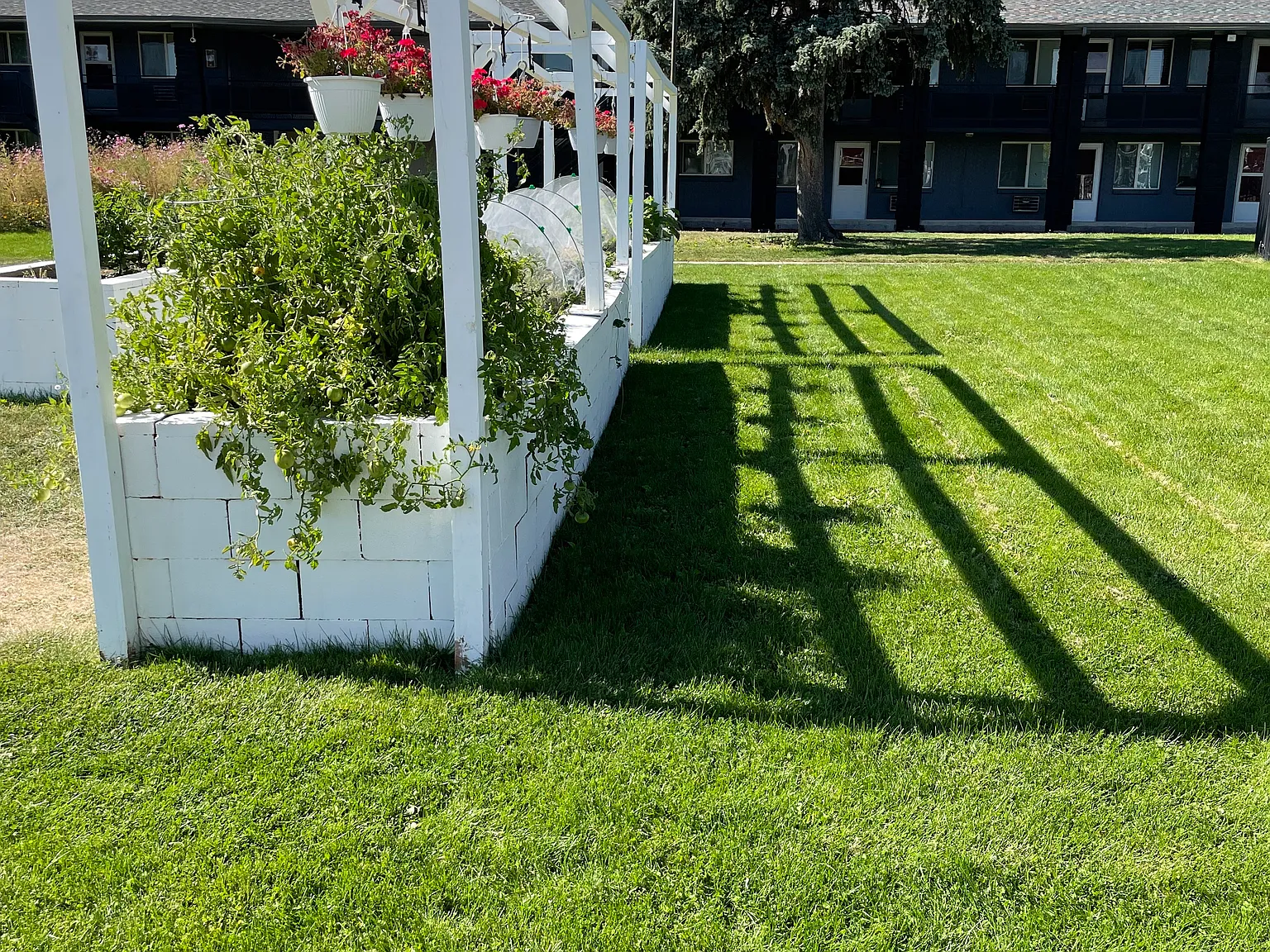 Fenton Gardens — Photo 1