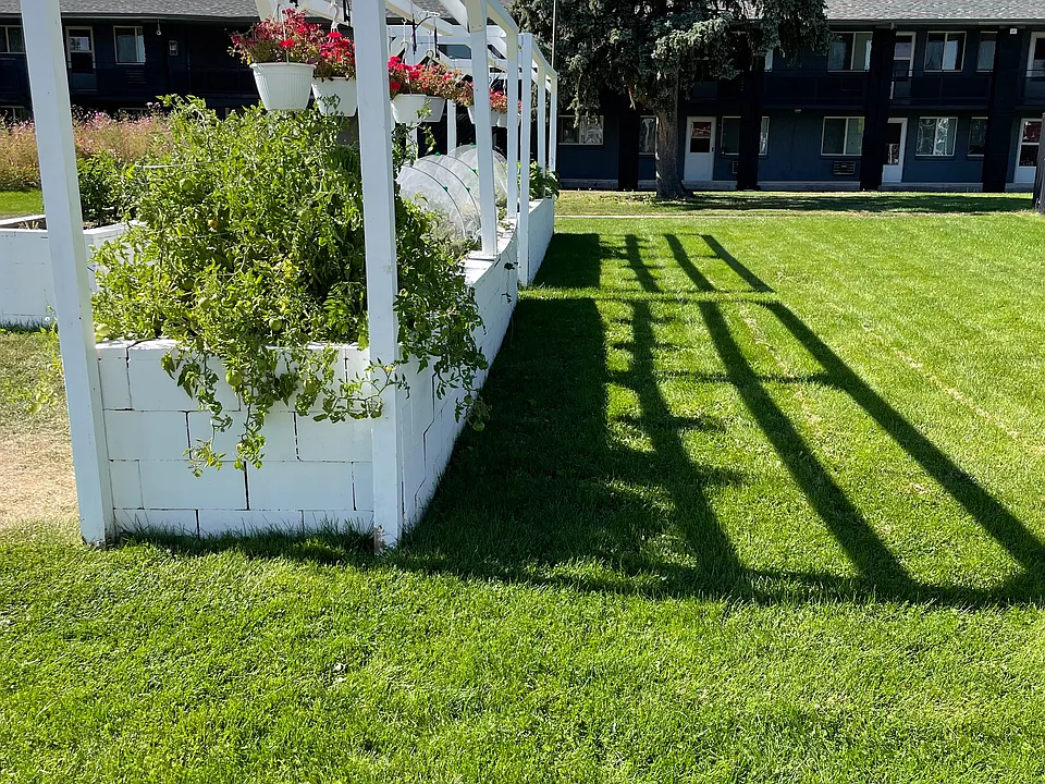 Fenton Gardens